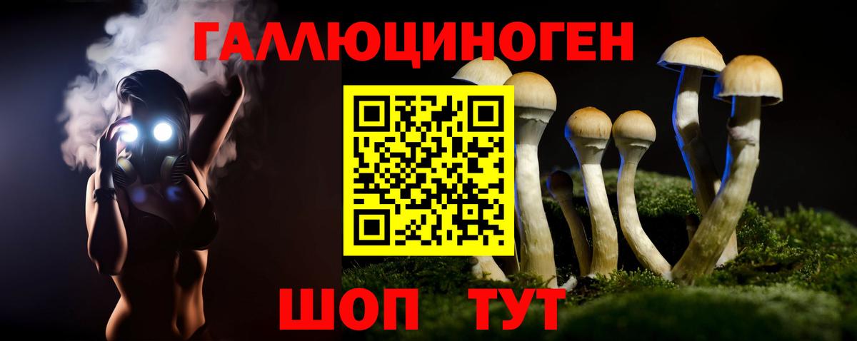 Псилоцибиновые грибы Psilocybe  Вход с VPN  Приморско-Ахтарск 